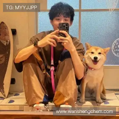 芮行京